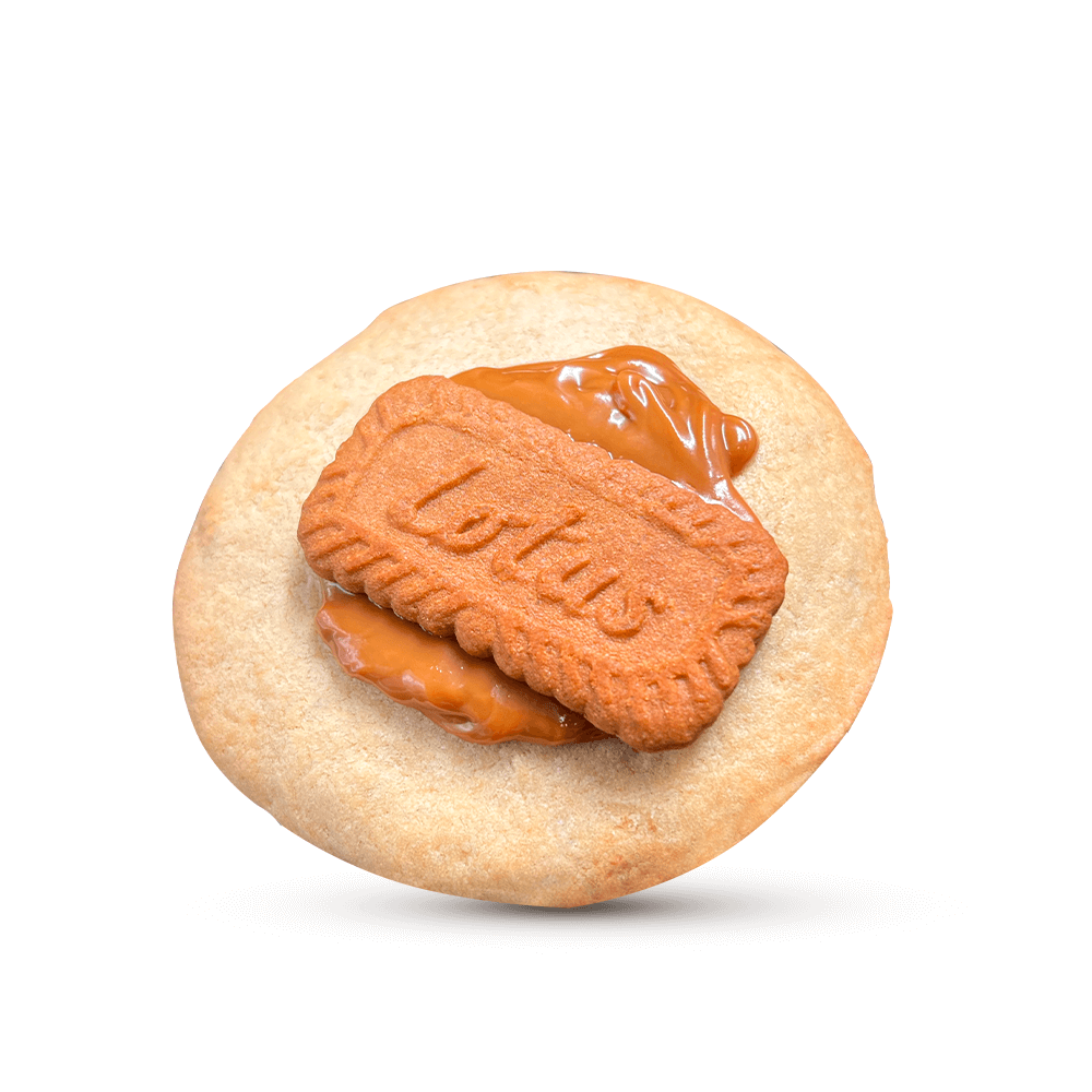 Biscoff Buddy 6er Box